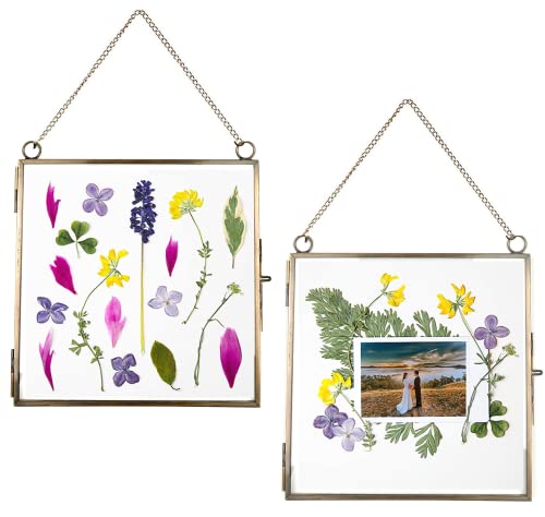 Beedecor Glass Frame for Pressed Flowers, Leaf and Artwork - Hanging Square Metal Picture Frames, Clear Double Glass Floating Frame, Wall Decor Photo Display, Set of 2 Flower Press Frames with Chain - color: Antique bronze, size: 6x6