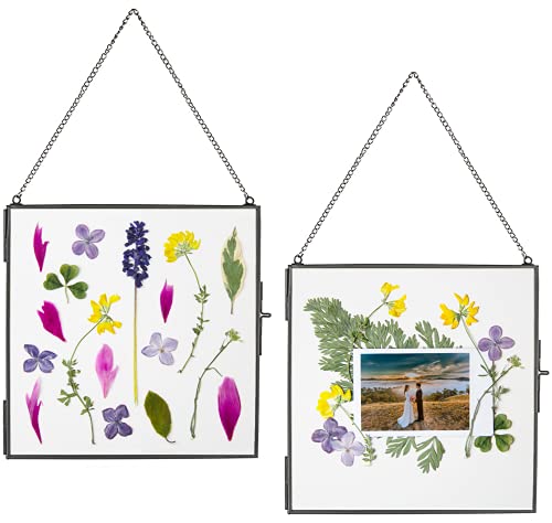 Beedecor Glass Frame for Pressed Flowers, Leaf and Artwork - Hanging Square Metal Picture Frames, Clear Double Glass Floating Frame, Wall Decor Photo Display, Set of 2 Flower Press Frames with Chain - color: Gunmetal black, size: 6x6