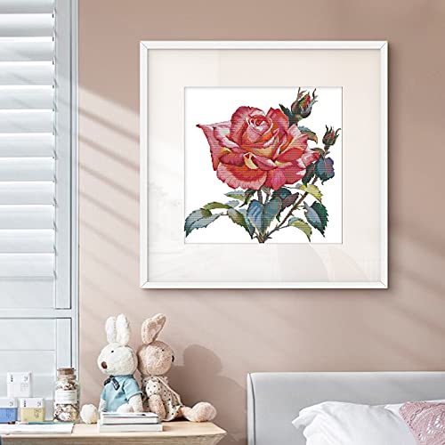 ITSTITCH Stamped Cross Stitch Kits for Beginners Full Range of Crossstitching Kits Preprinted Pattern for Kids or Adults, Embroidery Needlepoint Starter Kits 14CT 2 Strands-Rose,16.9''x17.3'' - color: Rose,16.9''x17.3'