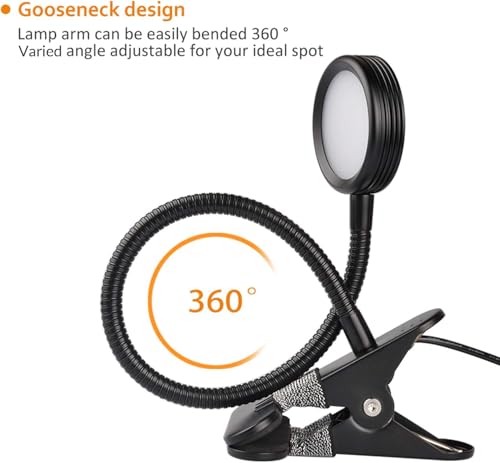 LEPOWER Clip on Light, Book Reading Lamp for Desk, Bed Headboard and Dorm - color: Black