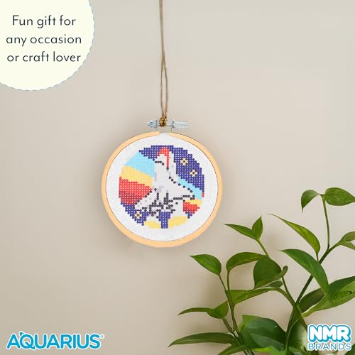 AQUARIUS NASA Space Shuttle Small Cross Stitch Kit for Beginners
