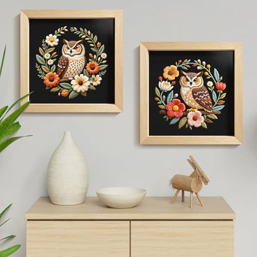 ERKOON Embroidery Kit for Beginners, 2 Set Flower Cross Stitch Set Include Embroidery Cloth Hoops Threads for Craft Lover Hand Stitch with Embroidery Skill Techniques (Owl) - color: Owl