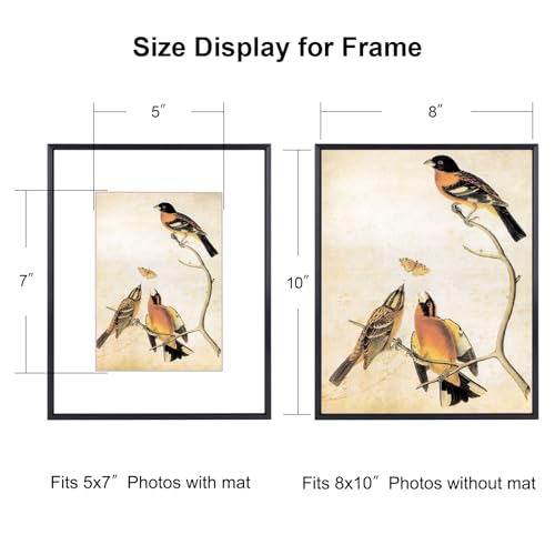BKABOT 8x10 Black Photo Frame HD Glass 1 Pack 5x7 Mat Tabletop & Wall - color: Black, size: 8x10-1P