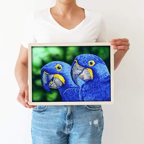 DIAMOND DOTZ Blue Hyacinth Macaws Diamond Painting Kit for Adults with Gems - size: 37 x 52cm