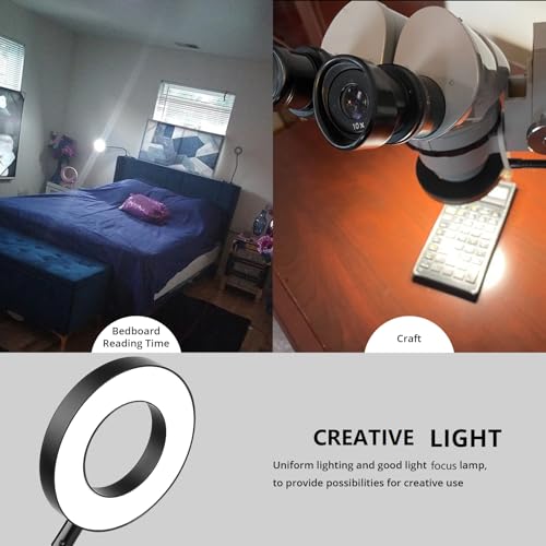 Woputne Desk Lamps Clip on Reading Light for Bed Home Office Craft (Black) - size: Black-1 Piece-Standard-With Adapter