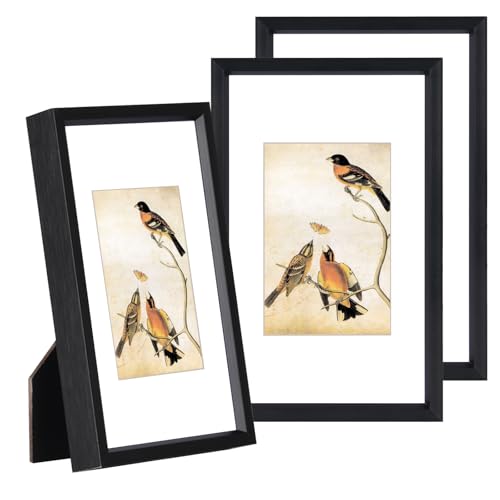 BKABOT 3x5 Black Aluminum Photo frames 3 Pack HD Glass Mat 2x3 Wall Table - color: Black, size: 3x5