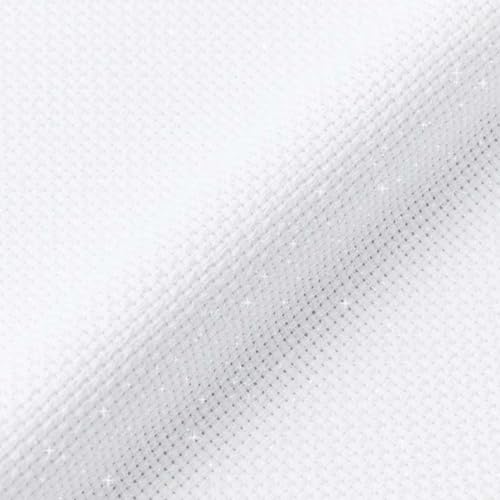 Charles Craft Aida Fabric - Iridescent White, 15 inches x 18 inches, GD1443BX - color: White