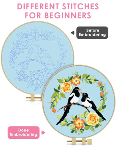 TINDTOP Embroidery Kit for Beginners Adult, Bird Embroidery Kit - color: Bird