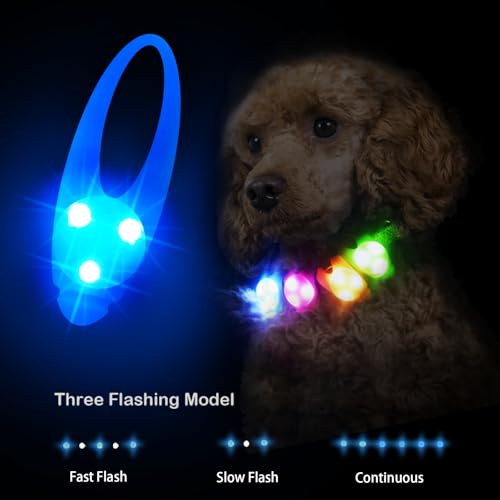 LaRoo LED Dog Collar Light - Waterproof Clip-On 3 Modes, High Visibility for Night Walking/Camping, Pet Safety Light for Small/Medium/Large Dogs (Blue) - color: Blue-A