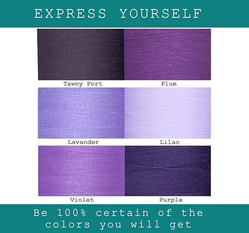 BlesSew Sewing Thread in Purple Color Tones – 6 Spools of Polyester Thread for Sewing Machine for Beginners, Hand Stitching & Quilting - 1000 yds per Spool - color: Purple