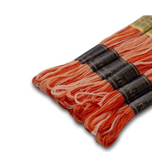 Pack of 12 Premium Embroidery Thread | 100% Egyptian Cotton Premium Skeins | Cross Stitch Embroidery Floss | Oeko TEX Certified | Ideal for Arts & Crafts (Orange Variegated 1220) - color: Orange Variegated 1220