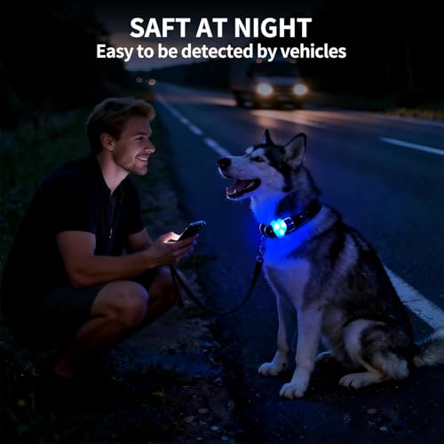 LaRoo LED Dog Collar Light - Waterproof Clip-On 3 Modes, High Visibility for Night Walking/Camping, Pet Safety Light for Small/Medium/Large Dogs (Blue) - color: Blue-A