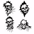 SUPERDANT 4Pcs Skull Heat Transfer Iron On Transfer for DIY - style: Skull on the wall