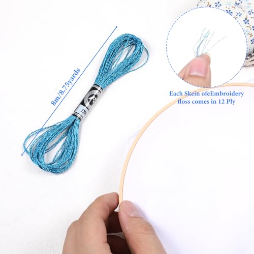 11 Skeins Embroidery Floss, Metallic Embroidery Thread 12 Strands Glitter Embroiderys Thread 8M Colorful Embroideries Floss with 5 Size Needles and 1 Threader for Hand Embroideries String DIY Art
