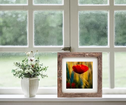 7x7 Picture Frames Set of 2, Square Rustic Wood Grain Photo Frame for Tabletop or Wall Mounting Display - size: 7X7(2pcs)