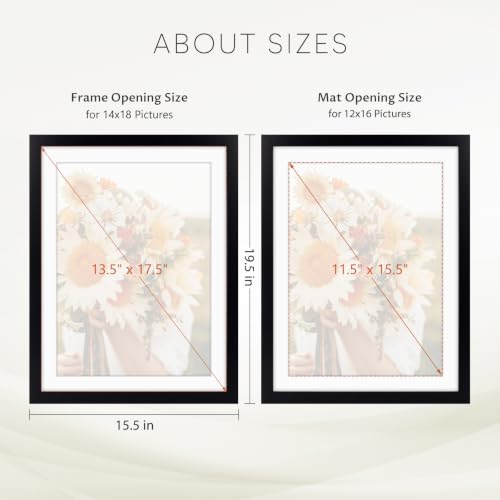 Golden State Art 14x18 Black Picture Frame Mat for 12x16 Real Glass - color: Black, size: 14x18