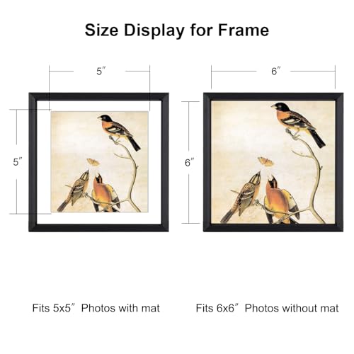 BKABOT 6x6 Black Metal Photo Frame HD Glass 1 Pack 5x5 Mat Tabletop Wall - color: Black, size: 6x6-1P