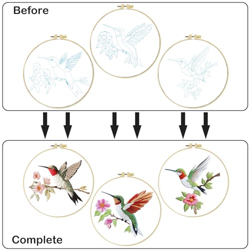 57lilina Embroidery Kit for Beginners, Pack of 3 with Hoop, Threads, Needle - color: Hummingbird