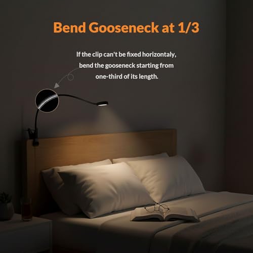 LEPOWER Clip on Light, Book Reading Lamp for Desk, Bed Headboard and Dorm - color: Black