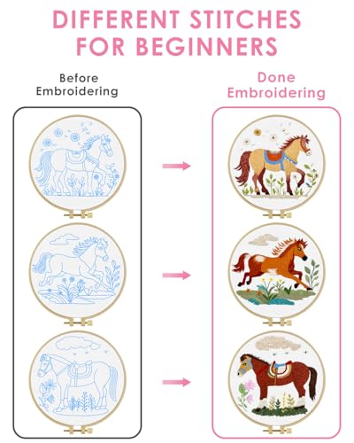 TINDTOP Embroidery Kit for Adult, 3 Pack Embroidery DIY Starter Kit - color: Horse