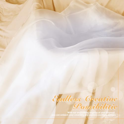 Manyshofu White Organza Fabric by The Yard, 60 Wide (10 Yard) - color: White, size: 10 Yard