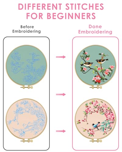 TINDTOP Embroidery Kit for Adult, Owl Embroidery Kit for Beginners - color: Bird
