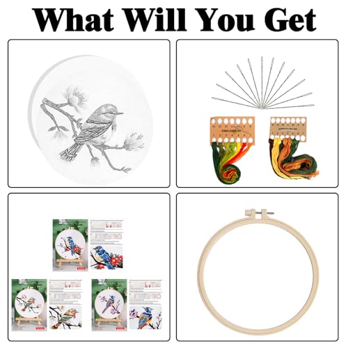 GLTAYLMY 3 Sets Embroidery Kit for Beginners Needlepoint Cross Stitch Kits for Adults,Stitch Learning DIY Kit with Easy Instruction,Stamped Bird Embroidery Patterns,Hoop,Threads,Sewing Hobby - color: BirdEK