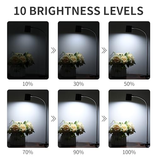 Dott Arts Desk Lamp,USB Clip On Light with 3 Color Modes,LED Reading Lamp - color: Brown