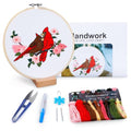 Hummingbird and Flower Embroidery Kit for Adults, DIY Embroidery Kits with Original Design Patterns, Learn to Embroider Kit Beginner with Needles and Thread, Clear Instructions and Video (BEB003) - color: bird blue