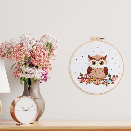 Louise Maelys Cute Owl Embroidery Kit for Beginners Animal DIY - color: Color 24