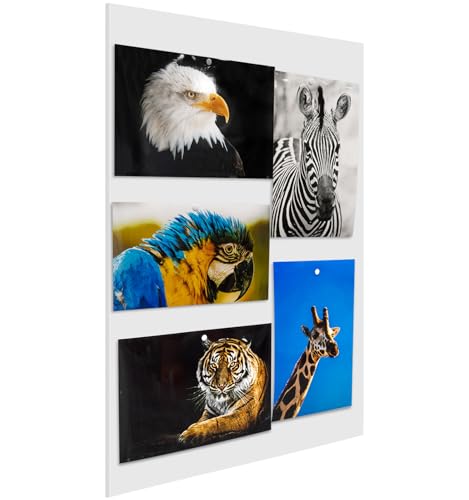 Foam Board 20 x 30 x 3/16"(5mm), Foam Core Board Sheets, White Poster Board - size: 20x30 in 12 Pack