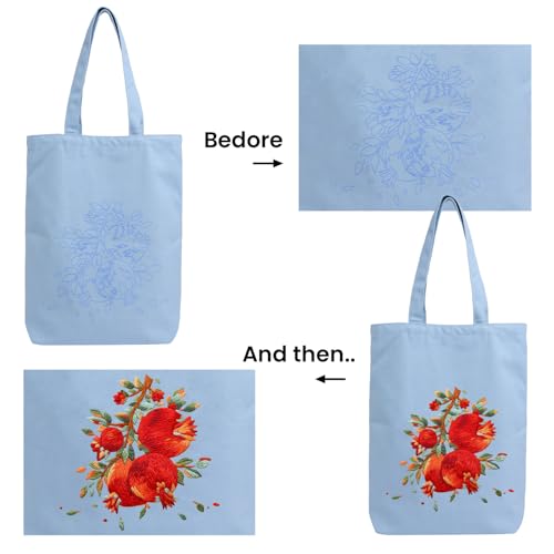 CREAWONDER Canvas Tote Bag Embroidery Kit with Pattern for Beginners, Arts and DIY Embroidery Crafts Kits for Adults, Include Instructions, Embroidery Hoops, Color Threads and Tool - color: CR002 shiliuranran lightblue