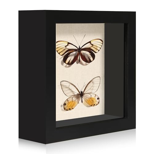 5x5 Small Shadow Box Picture Frame Display Case with Soft Linen Back, Black Wooden Memory Shadow Box Frame with Tempered Glass Cover for Wall or Tabletop Display - color: Black, size: 5x5