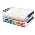 CATOOMUU 2-Pack 9x13 Clear Plastic Project Case Stackable Storage Box - color: Large-Blue
