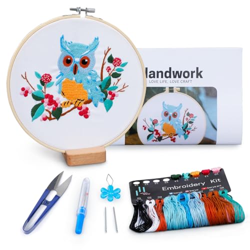 BERYA Owl Embroidery Kit, Embroidery Kit for Adult, Owl Pattern Practice Kit, Including Video Step by Step Instructions, Embroidery Hoop, Cloth, Needles and Thread for DIY Craft Lover (BEO011) - color: owl blue