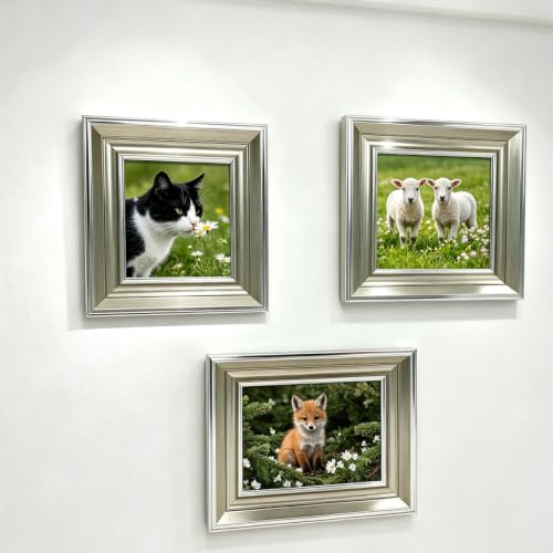 3x3 Silver Picture Frame, Real Glass, MDF, Black Backing, Wall/Tabletop - color: Silver, size: 3x3