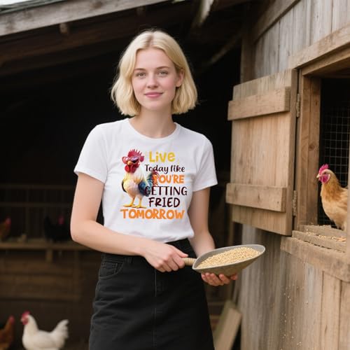 20 Pcs Funny Chicken DTF Transfers Ready to Press Iron on Patches - color: Funny Chicken