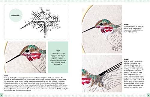 Embroidery Made Easy: Beautiful Birds: Easy techniques for learning to embroider a variety of colorful birds, including a cardinal, a barn owl, and a puffin