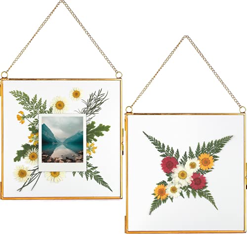 Glass Frame for Pressed Flowers, Leaf and Artwork - Hanging Gold 8x8 Square Metal Picture Frames, Clear Double Glass Floating Frame, Wall Decor Photo Display, Set of 2 Flower Press Frames with Chain - color: Gold, size: 8x8