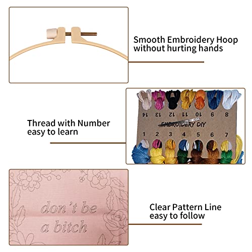 Nuberlic 2 Pack Funny Embroidery Kit for Beginners Adults