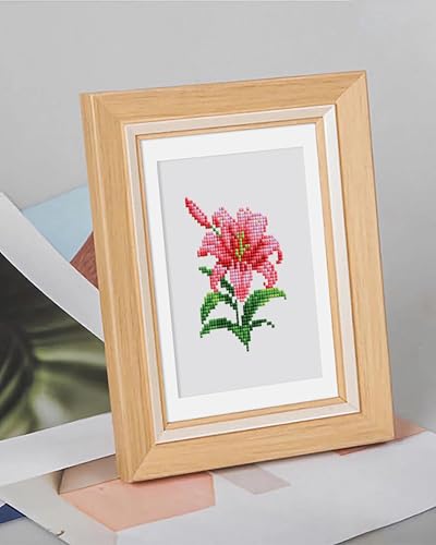 PeakLuv Small Diamond Art Kits Flowers Mini Diamond Painting Kit for Adults - color: Flowers 2