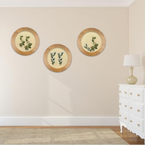 3 Sets Embroidery Display Frame with Bamboo Hoops, 8 Inch Round Wall Mounted Embroidery Hoop Frame for Finished Cross Stitch, Needlework, DIY Art Craft Sewing Decoration - size: 8 in