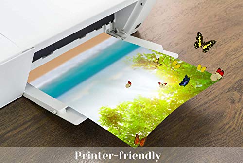 Cridoz 50 Sheets Vellum Paper 8.5 x 11 Inches Translucent Clear for Printing Sketching Tracing Drawing Animation