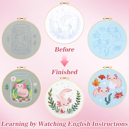 Mindsoft 3 Set Needlepoint Kit for Beginners with Hoop,Axolotl - style: Axolotl