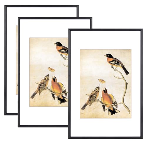 BKABOT 8x12 Black Aluminum Photo frames 3 Pack HD Glass Mat 6x8 Wall Table - color: Black, size: 8x12