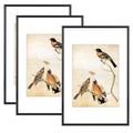 BKABOT 8x12 Black Aluminum Photo frames 3 Pack HD Glass Mat 6x8 Wall Table - color: Black, size: 8x12