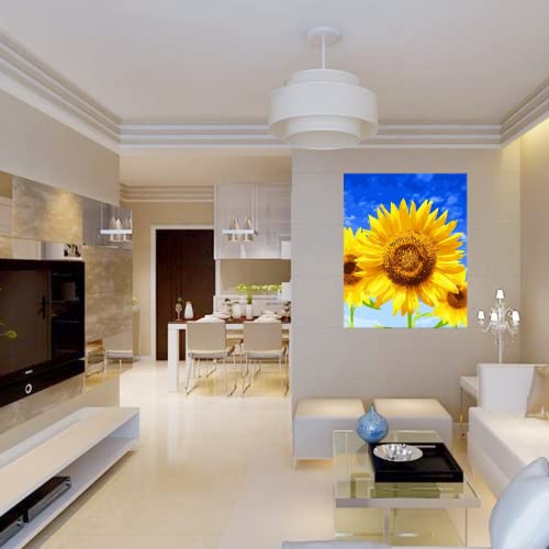 40X50 cm Wooden Frame DIY Picture Frames Art Suitable for Home Decor Painting Digital Diamond Drawing Paintings, Display Pictures 16x20 picture frames for wall (40 * 50CM) - color: 40*50CM