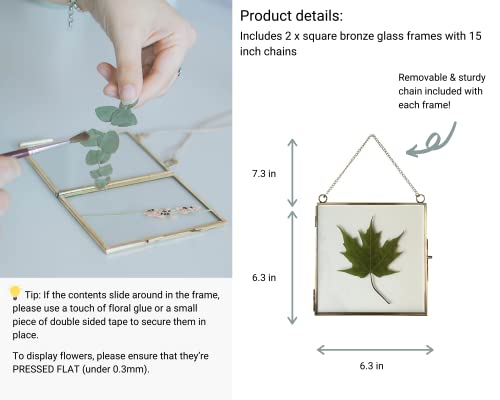 Beedecor Glass Frame for Pressed Flowers, Leaf and Artwork - Hanging Square Metal Picture Frames, Clear Double Glass Floating Frame, Wall Decor Photo Display, Set of 2 Flower Press Frames with Chain - color: Antique bronze, size: 6x6