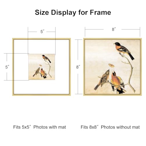 BKABOT 8x8 Brass Square Photo Frame HD Glass 1 Pack 5x5 Mat Tabletop Wall - color: Brass, size: 8x8-1P