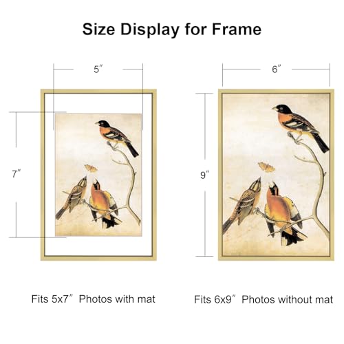BKABOT 6x9 Brass Picture Frame HD Glass 1 Pack 5x7 Mat Tabletop & Wall - color: Brass, size: 6x9-1P